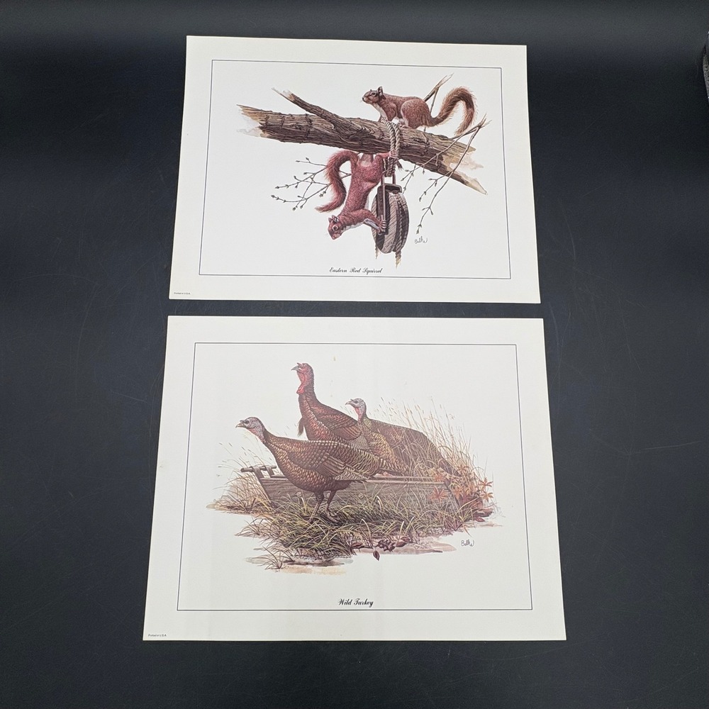 Vintage Don Balke Wildlife Art Prints Set 2 Squirrel & Wild Turkey 14x11
